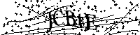 Veuillez saisir les lettres et les chiffres ci-dessous