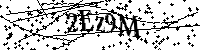 Veuillez saisir les lettres et les chiffres ci-dessous