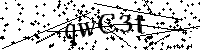 Veuillez saisir les lettres et les chiffres ci-dessous