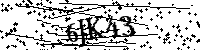 Veuillez saisir les lettres et les chiffres ci-dessous
