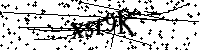Veuillez saisir les lettres et les chiffres ci-dessous