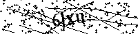 Veuillez saisir les lettres et les chiffres ci-dessous