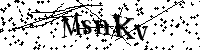 Veuillez saisir les lettres et les chiffres ci-dessous