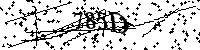 Veuillez saisir les lettres et les chiffres ci-dessous