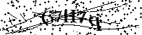Veuillez saisir les lettres et les chiffres ci-dessous