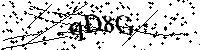 Veuillez saisir les lettres et les chiffres ci-dessous