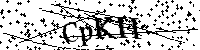Veuillez saisir les lettres et les chiffres ci-dessous