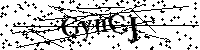 Veuillez saisir les lettres et les chiffres ci-dessous