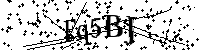 Veuillez saisir les lettres et les chiffres ci-dessous