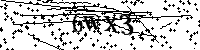 Veuillez saisir les lettres et les chiffres ci-dessous