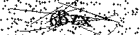 Veuillez saisir les lettres et les chiffres ci-dessous