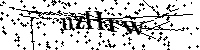 Veuillez saisir les lettres et les chiffres ci-dessous
