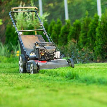 Outillage A Moteur Jardin