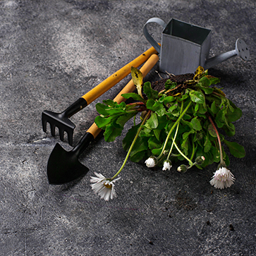 Outils De Jardin