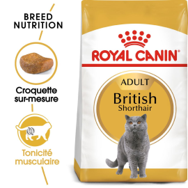 CROQUETTES POUR CHAT ADULTE RACE BRITISH SHORTHAIR ROYAL CANIN ALIMENT COMPLET 2 KILOGRAMMES