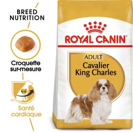 CROQUETTES POUR CHIEN ADULTE RACE CAVALIER KING CHARLES SPANIEL ROYAL CANIN ALIMENT COMPLET 1,5 KILOGRAMME