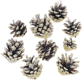 POMME DE PIN PAILLETÉE SACHET DE 9 PIÈCES DÉCORATION DE NOËL