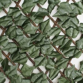 TREILLIS DE JARDIN GARDENIA IVY 1X2 M