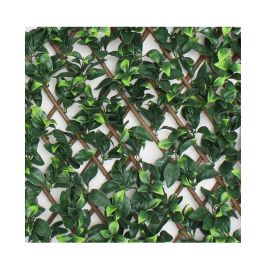 TREILLIS DE JARDIN MIXTE VERT 1X2 M