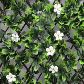 TREILLIS DE JARDIN AVEC FLEURS BLANCHES GARDENIA 1X2 M