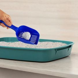 LITIÈRE AGGLOMÉRANTE POUR CHAT KIKIKAT FRAÎCHEUR MONTAGNE 5 L EN ARGILE BENTONITE BLANCHE NATURELLE