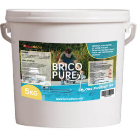 CHLORE EN POUDRE 90° 5 KG BRICOPURE