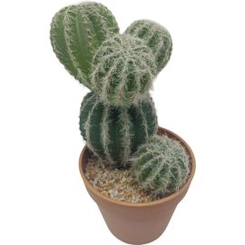 PLANTE ARTIFICIELLE CACTUS BOULES 13X13X26 CM