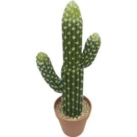 PLANTE ARTIFICIELLE CACTUS POLASKIA 15X13X41 CM