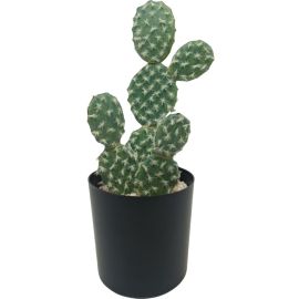 PLANTE ARTIFICIELLE CACTUS RUFIDA 10X10X27 CM