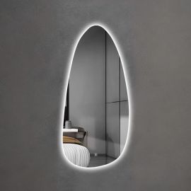 MIROIR MURAL AVEC ÉCLAIRAGE LED BLANC FROID FORME OVALE 120 X 55 CM
