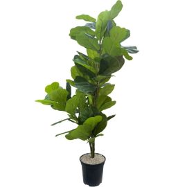 PLANTE DÉCORATIVE D’INTÉRIEUR ARTIFICIELLE HAUTEUR 80 CM AVEC POT