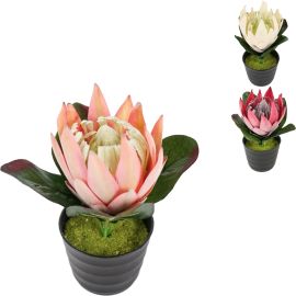 PLANTE ARTIFICIELLE PROTEA EN POT 21 CENTIMÈTRES