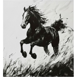 TABLEAU IMPRIMÉ CHEVAL SUR TOILE ARTISTIQUE PREMIUM L60 X H60 CM