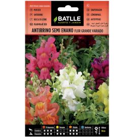 GRAINES DE MUFLIER SEMI-NAIN À GRANDES FLEURS VARIÉES