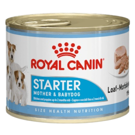 ALIMENT HUMIDE STARTER MOUSSE 195 G ROYAL CANIN