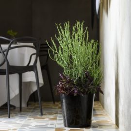 CACHE-POT MEY 30 CENTIMÈTRES AVEC ROUES NOIR EURO3PLAST