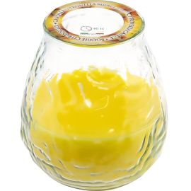 BOUGIE À LA CITRONNELLE EN VERRE RÉPULSIF NATUREL ANTI-INSECTES AVEC 40H D'AUTONOMIE