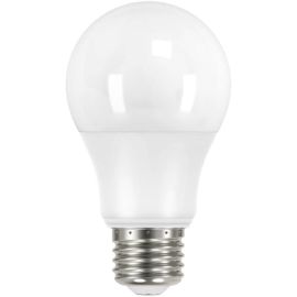 LAMPE LED GLS E27 9 W 6500 K LUMIÈRE BLANC FROID