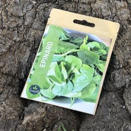 SACHET DE GRAINES D'ÉPINARDS