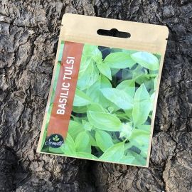SACHET DE GRAINES DE BASILIC TULSI
