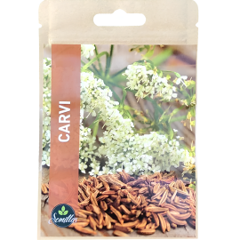 SACHET DE GRAINES DE CARVI AROMATIQUE