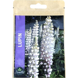 SACHET DE GRAINES DE LUPIN