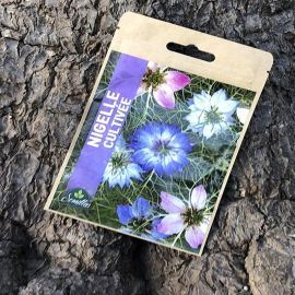SACHET DE GRAINES DE NIGELLE CULTIVÉE