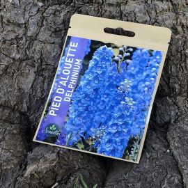 SACHET DE GRAINES DE PIED D'ALOUETTE DELPHINIUM