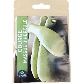 SACHET DE GRAINES COURGE MASSUE D'HERCULE