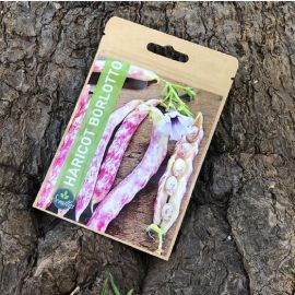 SACHET DE GRAINES D'HARICOTS BORLOTTO