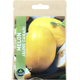 SACHET DE GRAINES MELON JAUNE CANARI