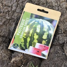 SACHET DE GRAINES DE PASTÈQUE CRIMSON SWEET