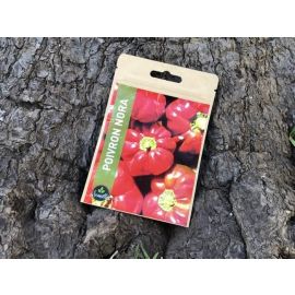 SACHET DE GRAINES POIVRON NORA