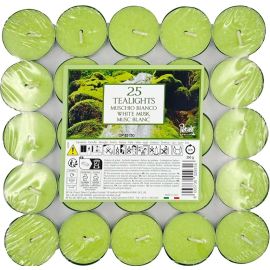 BOUGIES CHAUFFE PLAT PARFUM MUSC VERT EN LOT DE 25 PIÈCES